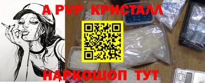индика Нальчик